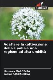 Adattare la coltivazione della cipolla a una regione ad alta umidità