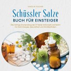 Schüssler Salze Buch für Einsteiger: Die richtige Anwendung der 27 Salze individuell und leicht für mehr Energie, Gesundheit und Wohlbefinden - Schritt für Schritt von der Theorie bis zur Praxis (MP3-Download)