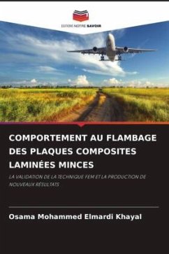 COMPORTEMENT AU FLAMBAGE DES PLAQUES COMPOSITES LAMINÉES MINCES - Khayal, Osama Mohammed Elmardi