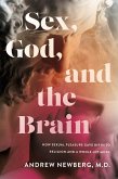 Sex, God, and the Brain (eBook, ePUB)