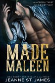 Made Maleen: A Modern Twist on a Fairy Tale (eBook, ePUB)