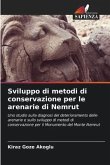 Sviluppo di metodi di conservazione per le arenarie di Nemrut