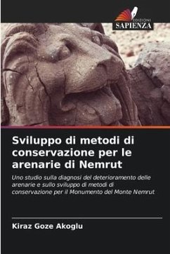 Sviluppo di metodi di conservazione per le arenarie di Nemrut - Akoglu, Kiraz Goze