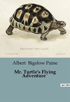 Mr. Turtle's Flying Adventure - Bigelow Paine, Albert
