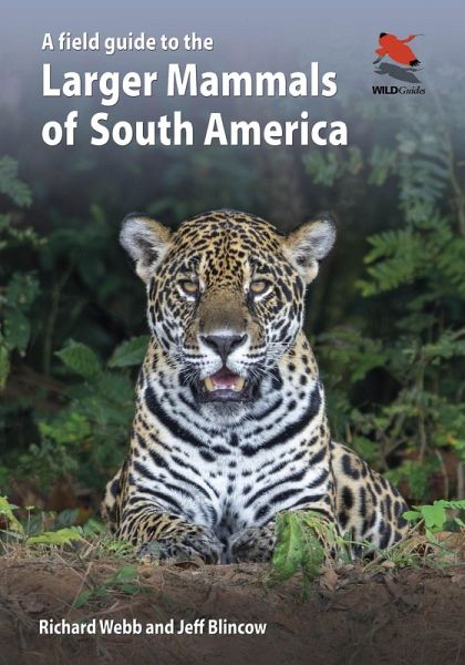 A Field Guide to the Larger Mammals of South America (eBook, PDF) A Field Guide to the Larger Mammals of South America (eBook, PDF)