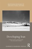 Developing Iran (eBook, ePUB)