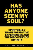 Has Anyone Seen My Soul? Spiritually Transformative Experiences and the Discovery of Divinity (eBook, ePUB)