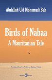 Birds of Nabaa (eBook, ePUB)