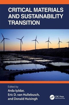 Critical Materials and Sustainability Transition