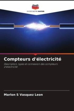 Compteurs d'électricité - Vasquez Leon, Marlon S