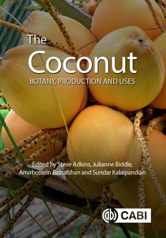 The Coconut