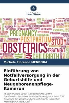 Einführung von Notfallversorgung in der Geburtshilfe und Neugeborenenpflege- Kamerun - MENDOUA, Michèle Florence