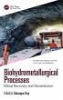 Biohydrometallurgical Processes - Bild 1