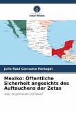 Mexiko: Öffentliche Sicherheit angesichts des Auftauchens der Zetas