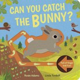 Can You Catch the Bunny? Can You Catch the Bunny?