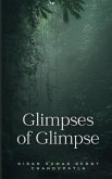 Glimpses of Glimpse