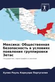 Mexika: Obschestwennaq bezopasnost' w uslowiqh poqwleniq gruppirowki Zetas