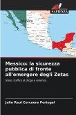 Messico: la sicurezza pubblica di fronte all'emergere degli Zetas