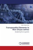 Transposable Elements in Rice (Oryza sativa)
