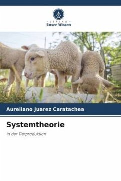 Systemtheorie - Juárez Caratachea, Aureliano