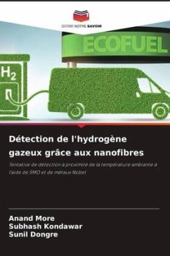 Détection de l'hydrogène gazeux grâce aux nanofibres - More, Anand;Kondawar, Subhash;Dongre, Sunil