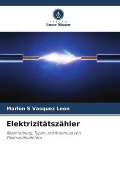 Elektrizitätszähler - Vasquez Leon, Marlon S