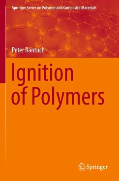 Ignition of Polymers - Rantuch, Peter