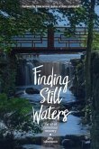 Finding Still Waters: The Art of Conscious Recovery