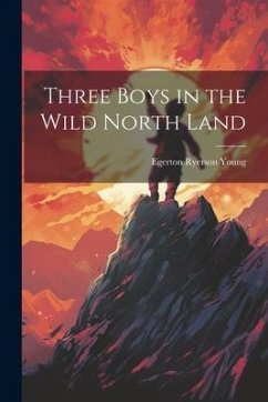 Three Boys in the Wild North Land - Young, Egerton Ryerson