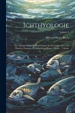 Ichthyologie; ou, Histoire naturelle des poissons. En six parties avec 216 planches dessinées et enluminées d'après nature .. Volume; Volume 2