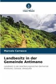Landbesitz in der Gemeinde Antimano