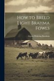 How to Breed Light Brahma Fowls