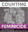 Counting Feminicide - Bild 1