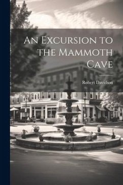 An Excursion to the Mammoth Cave - Davidson, Robert