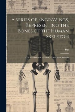 A Series of Engravings, Representing the Bones of the Human Skeleton: With the Skeletons of Some of the Lower Animals - Sue