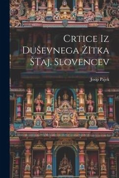 Crtice iz Dusevnega Zitka Staj. Slovencev - Pajek, Josip