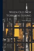 When Old New York Was Young