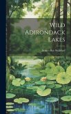 Wild Adirondack Lakes