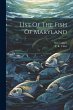 List Of The Fish Of Maryland - Bild 1
