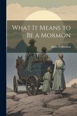 What it Means to be a Mormon