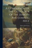 A Comparison Of The Osteology Of The Jerboas And Jumping Mice