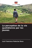 La perception de la vie quotidienne par les jeunes