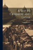 A Trip to Cashmere and Ladâk