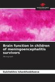 Brain function in children of meningoencephalitis survivors