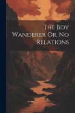 The Boy Wanderer Or, No Relations