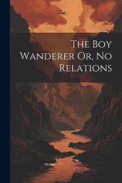 The Boy Wanderer Or, No Relations - Anonymous