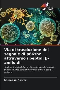 Via di trasduzione del segnale di p66shc attraverso i peptidi ¿-amiloidi - Bashir, Muneesa