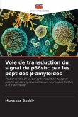 Voie de transduction du signal de p66shc par les peptides ¿-amyloïdes