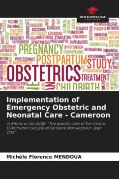 Implementation of Emergency Obstetric and Neonatal Care - Cameroon - MENDOUA, Michèle Florence
