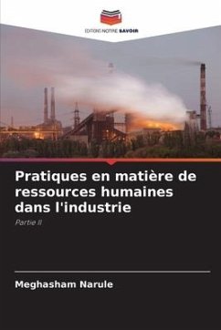 Pratiques en matière de ressources humaines dans l'industrie - Narule, Meghasham